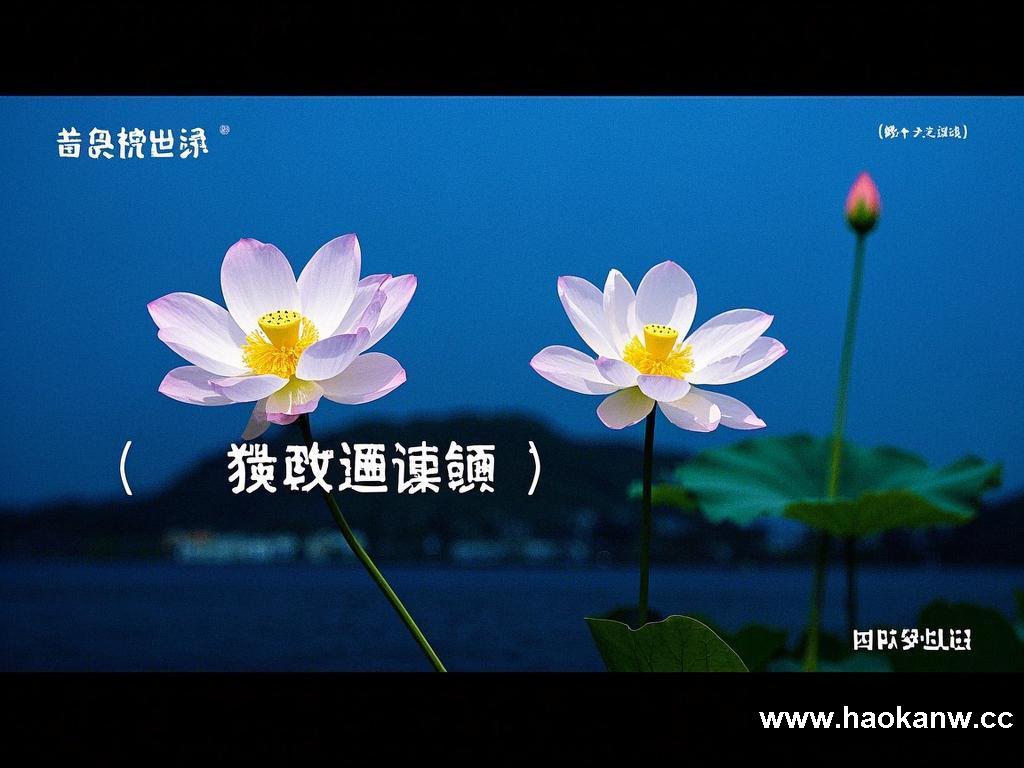 别样视频之遇